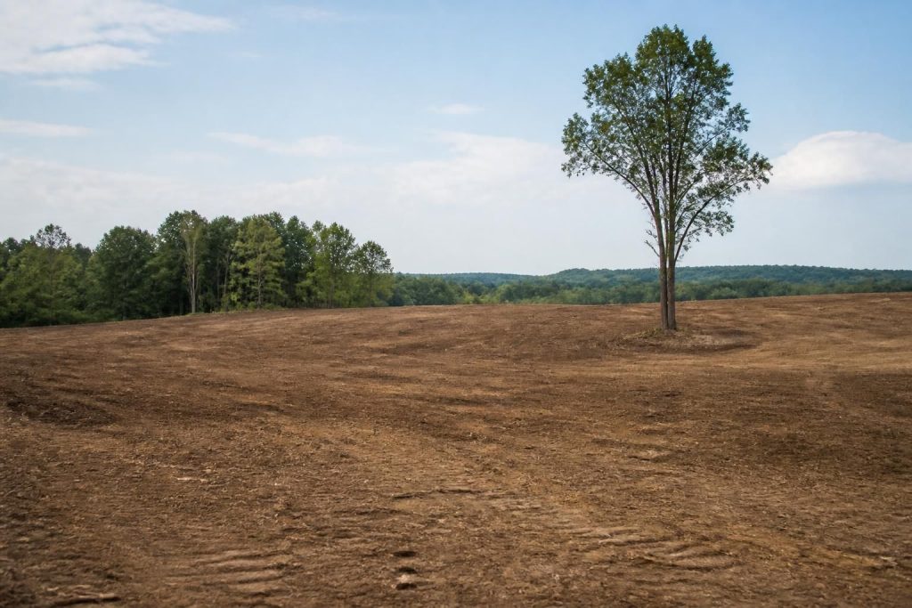 Freshly cleared and graded land under soft natural daylight.